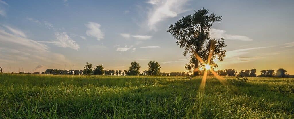 Wohnung kaufen Düsseldorf-Urdenbach: Landschaft der Urdenbacher-Kämpen